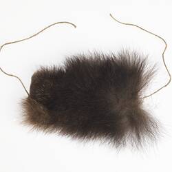 Ornament, arm, Australia, Northeast (Victoria)