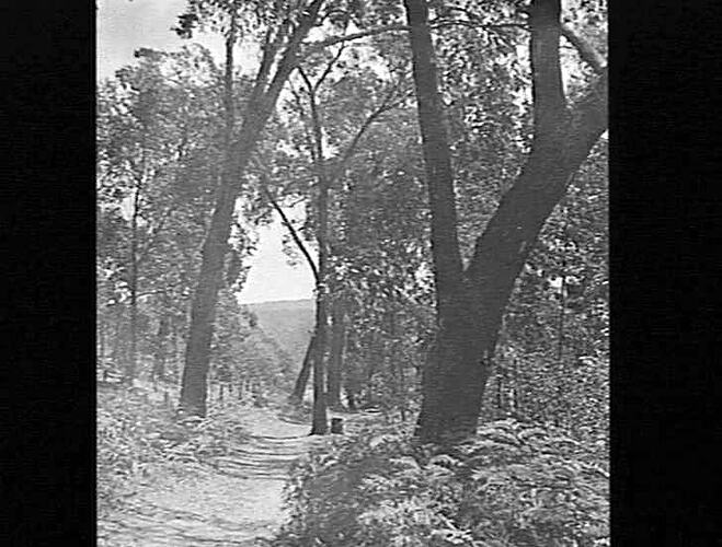 Lantern Slide