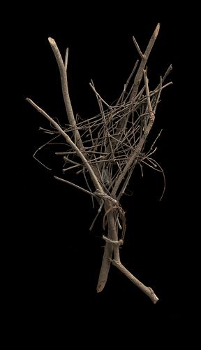 Birds nest of multiple small twigs attached to larger twigs.
