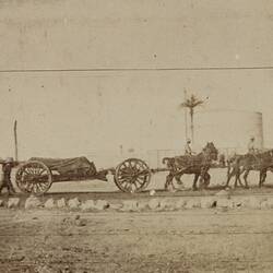 Photograph - Howitzer & Team of Horses, Egypt, World War I, 1915-1916