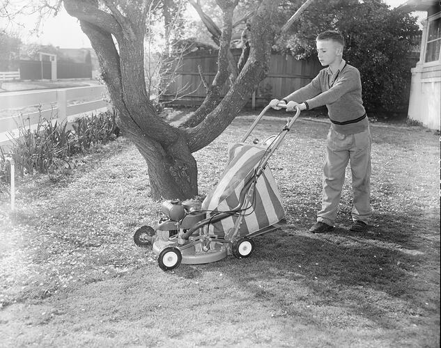 Boy Using Lawn Mower, Black Rock, Victoria, 28 Aug 1959