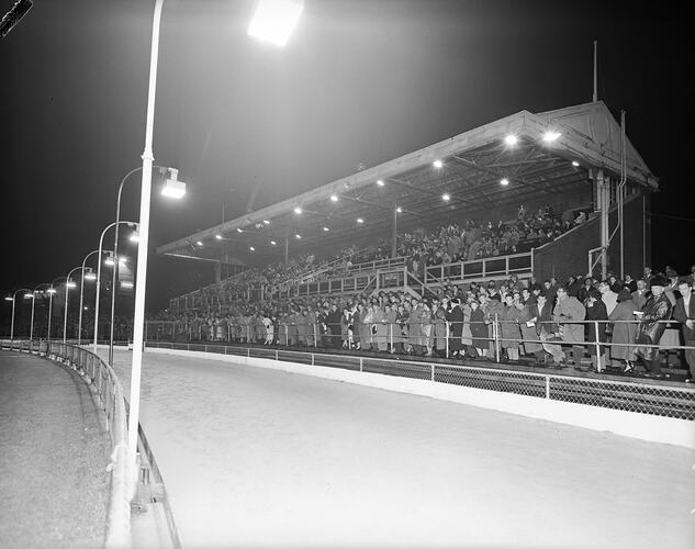Melbourne Greyhound Racing Association, Race Track & Stand, North Melbourne, 14 Sep 1959