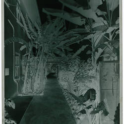 Kodak Australasia Pty Ltd, Back Garden Path, Kodak Branch, Townsville, QLD, 1930s