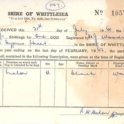 Receipt - Dog Registration, Shire of Whittlesea, John Woods, Lalor, 21 Jul 1961