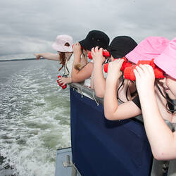 Five girls looking for marine life on a boat.