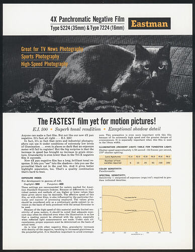 Flyer with picture and printed text.