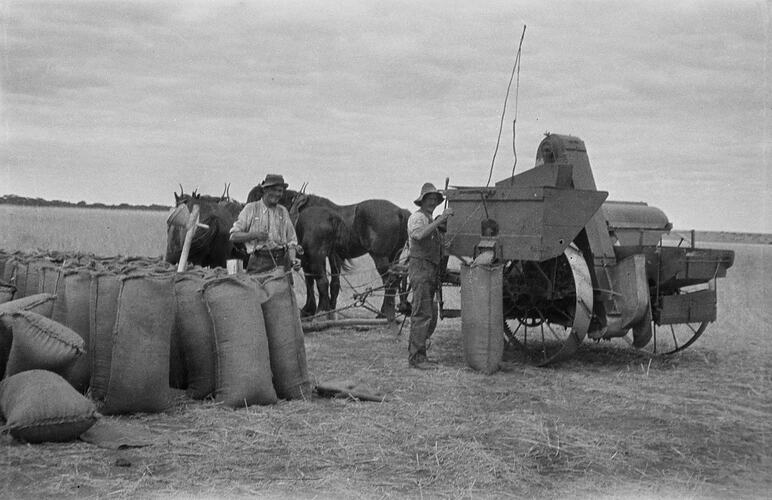Two farmers threshing and bagging crops with a horse-drawn harvester. One sews a bag, other fills a bag.