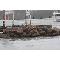 <em>Phalacrocorax carbo</em>, Great Cormorant. Gippsland Lakes, Victoria.